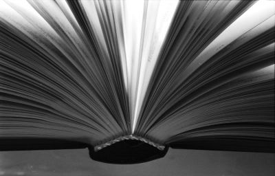 The book is called Opportunity and its first chapter is New Year's Day.